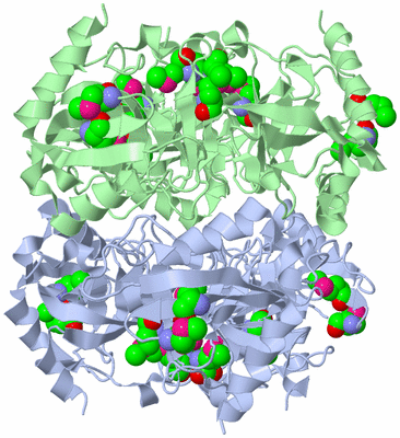 Image Biological Unit 3