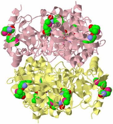 Image Biological Unit 4