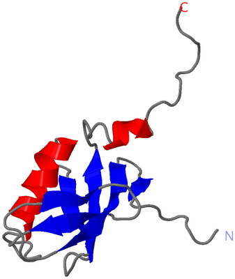 Image NMR Structure - model 1