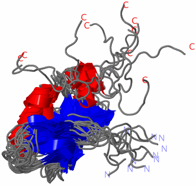 Image NMR Structure - all models