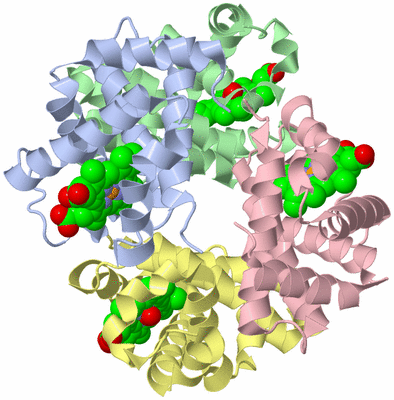 Image Asym./Biol. Unit