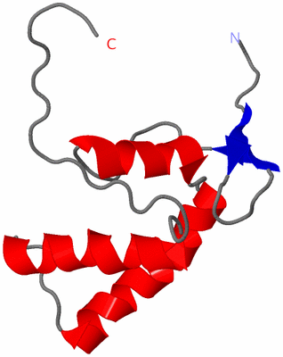 Image NMR Structure - model 1