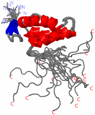 Image NMR Structure - all models