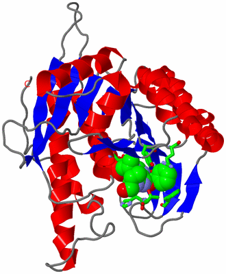 Image Asym./Biol. Unit - sites