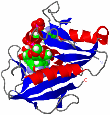 Image NMR Structure - model 1