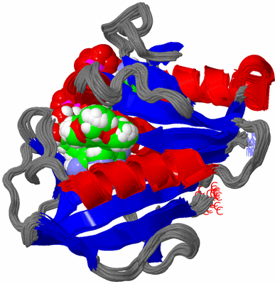 Image NMR Structure - all models