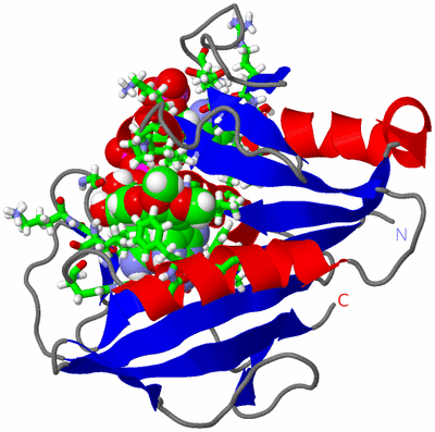 Image NMR Structure - model 1, sites