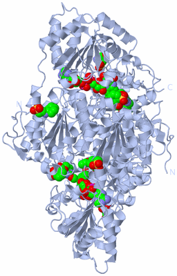 Image Biological Unit 2