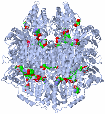 Image Biological Unit 1