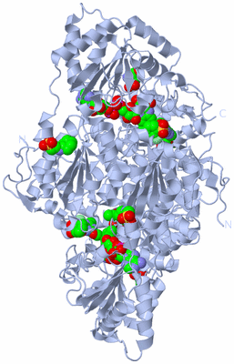 Image Biological Unit 2