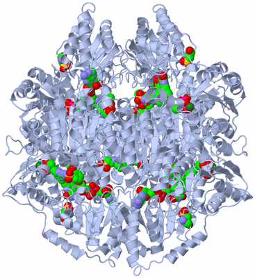 Image Biological Unit 1