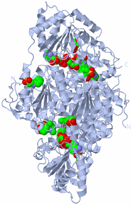 Image Biological Unit 2