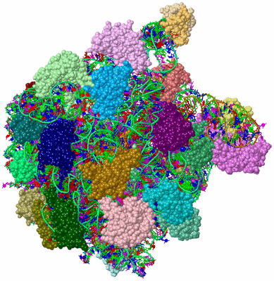 Image Asym./Biol. Unit