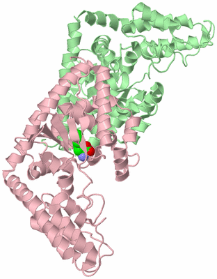 Image Biological Unit 1