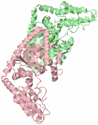 Image Biological Unit 1