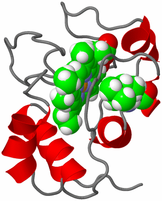 Image NMR Structure - model 1