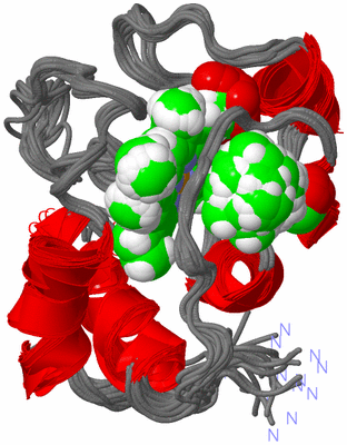 Image NMR Structure - all models