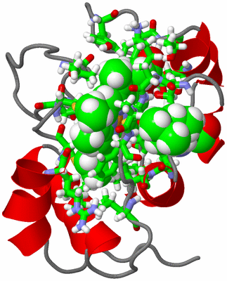 Image NMR Structure - model 1, sites