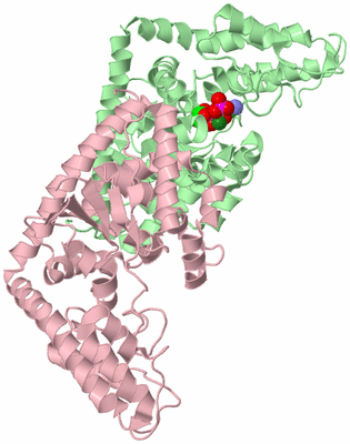 Image Biological Unit 1