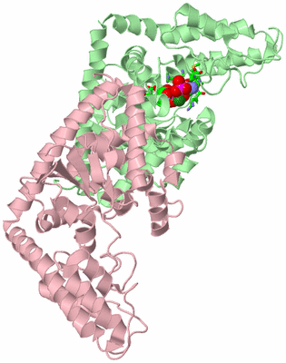 Image Biol. Unit 1 - sites