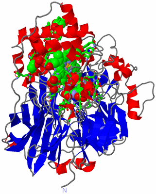 Image Asym./Biol. Unit - sites