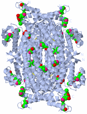 Image Biological Unit 1