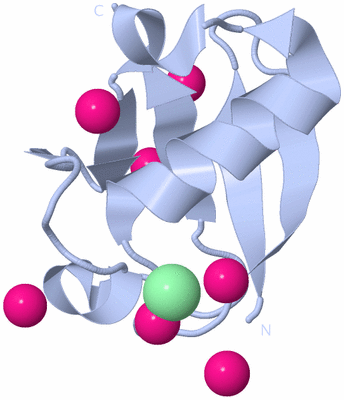 Image Biological Unit 1