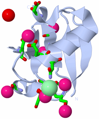 Image Biol. Unit 1 - sites