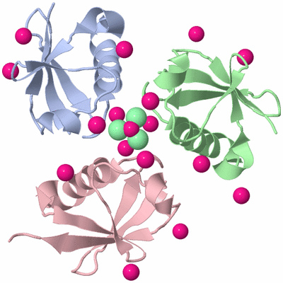 Image Biological Unit 4