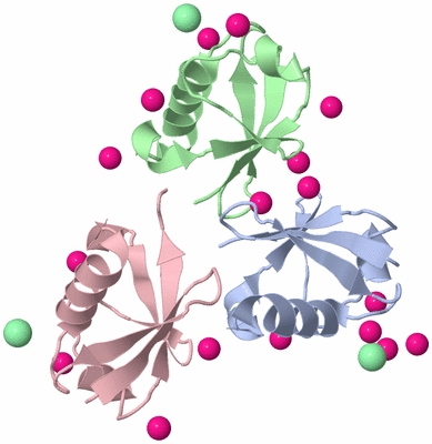 Image Biological Unit 5