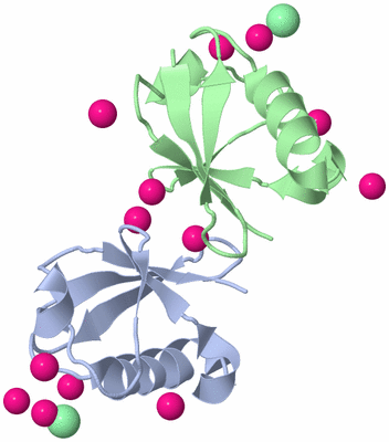 Image Biological Unit 6