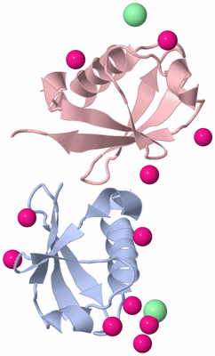 Image Biological Unit 7