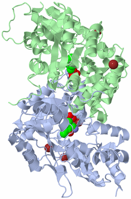 Image Asym./Biol. Unit