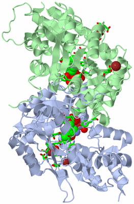 Image Asym./Biol. Unit - sites