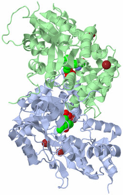 Image Asym./Biol. Unit