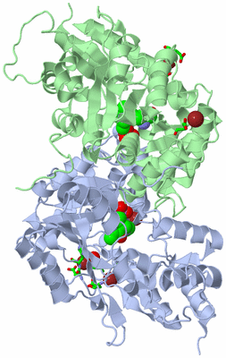 Image Asym./Biol. Unit - sites