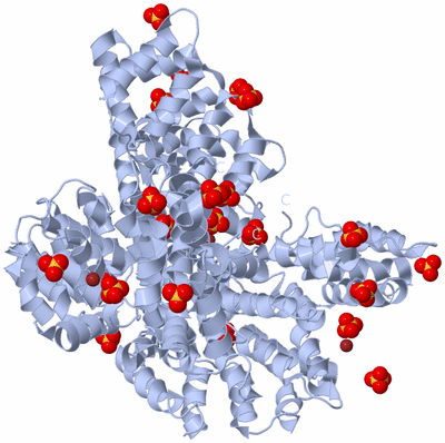 Image Biological Unit 2