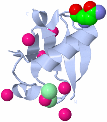 Image Biological Unit 1