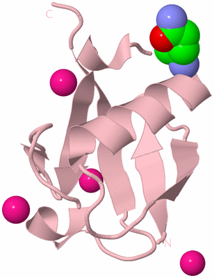 Image Biological Unit 3