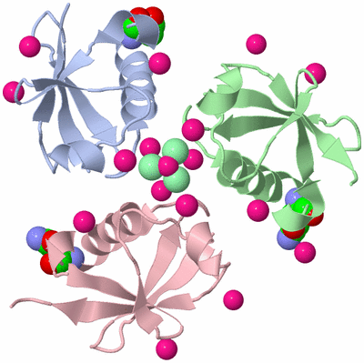 Image Biological Unit 4