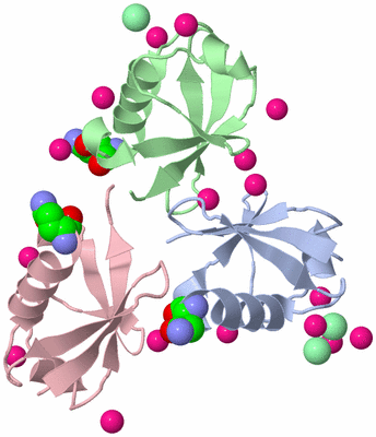 Image Biological Unit 5