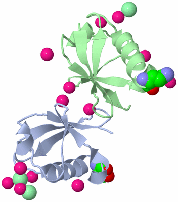 Image Biological Unit 6