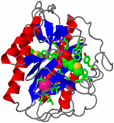 Image Asym./Biol. Unit - sites