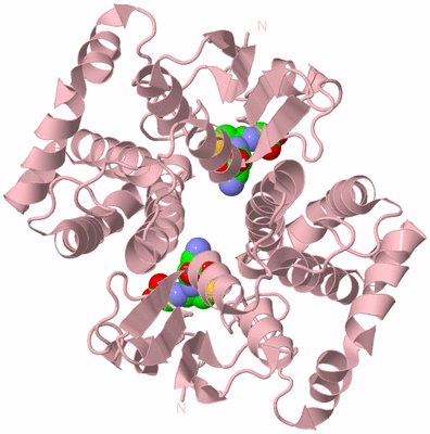 Image Biological Unit 2