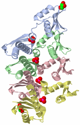 Image Asym./Biol. Unit