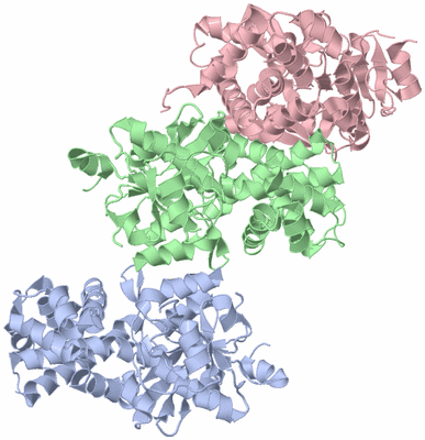 Image Asymmetric Unit