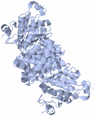 Image Biological Unit 1