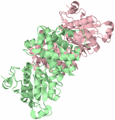 Image Biological Unit 2