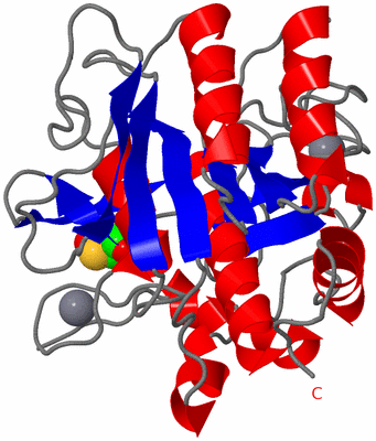 Image Asym./Biol. Unit