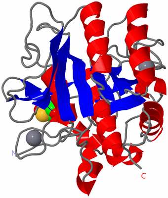 Image Asym./Biol. Unit